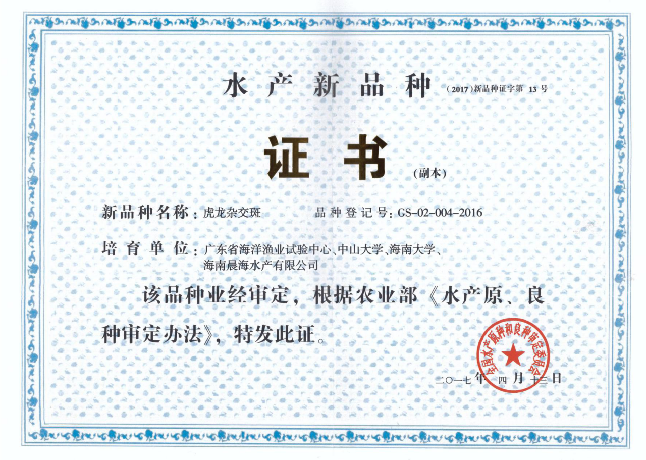 厲害了，我的“虎龍雜交斑”