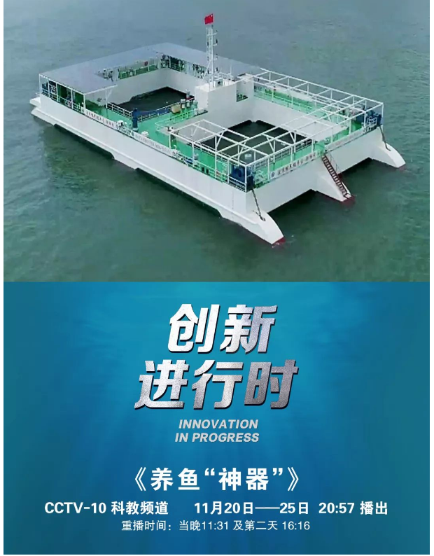 風(fēng)再猛、浪再大，都攔不住我養(yǎng)魚的雄心！
